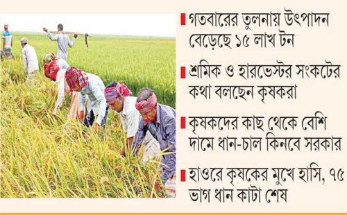 নিরবচ্ছিন্ন বিদ্যুতে এবার বোরোর বাম্পার ফলন