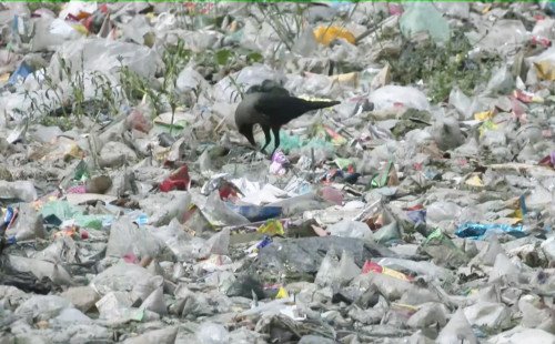 প্লাস্টিক দূষণ রোধে কঠোর হচ্ছে সরকার
