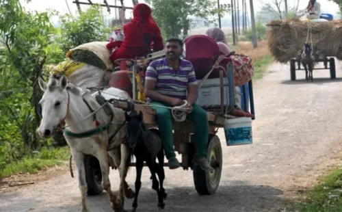 নিয়ন্ত্রণ রেখার আশপাশের গ্রাম ছেড়ে পালাচ্ছে মানুষ