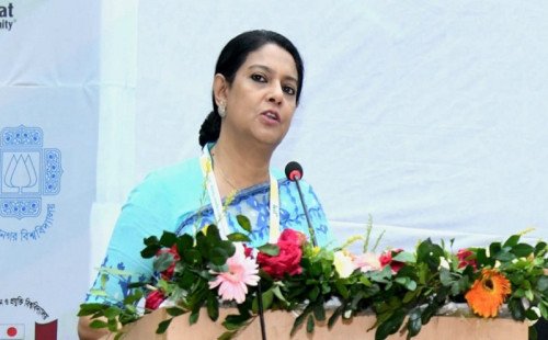 প্রকল্প বাস্তবায়নে পরিবেশ রক্ষাকে সর্বোচ্চ গুরুত্ব দিতে হবে: উপদেষ্টা সৈয়দা রিজওয়ানা হাসান