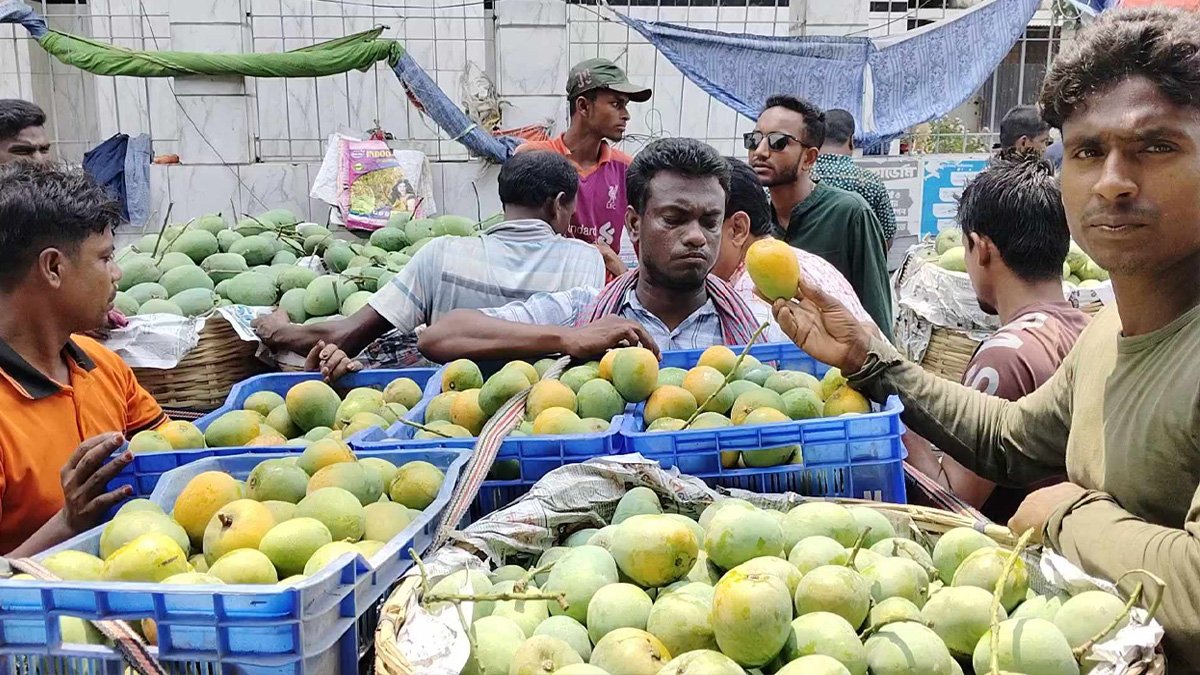 সাতক্ষীরার বাজারে উঠলো হিমসাগর আম