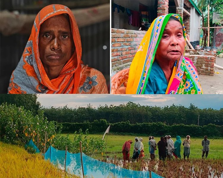 বিবিসির রিপোর্ট: ‘আমাকে বন্দুকের মুখে বাংলাদেশে ঠেলে দেয়া হয়েছিল’